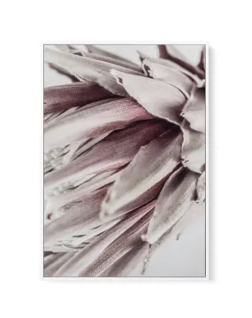 Abstract Protea II | Framed Canvas Art Print