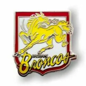 Brisbane Broncos NRL Heritage Team Metal Logo Pin Badge