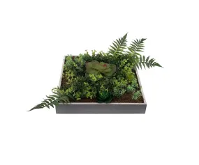 Equatorial Faux Moss