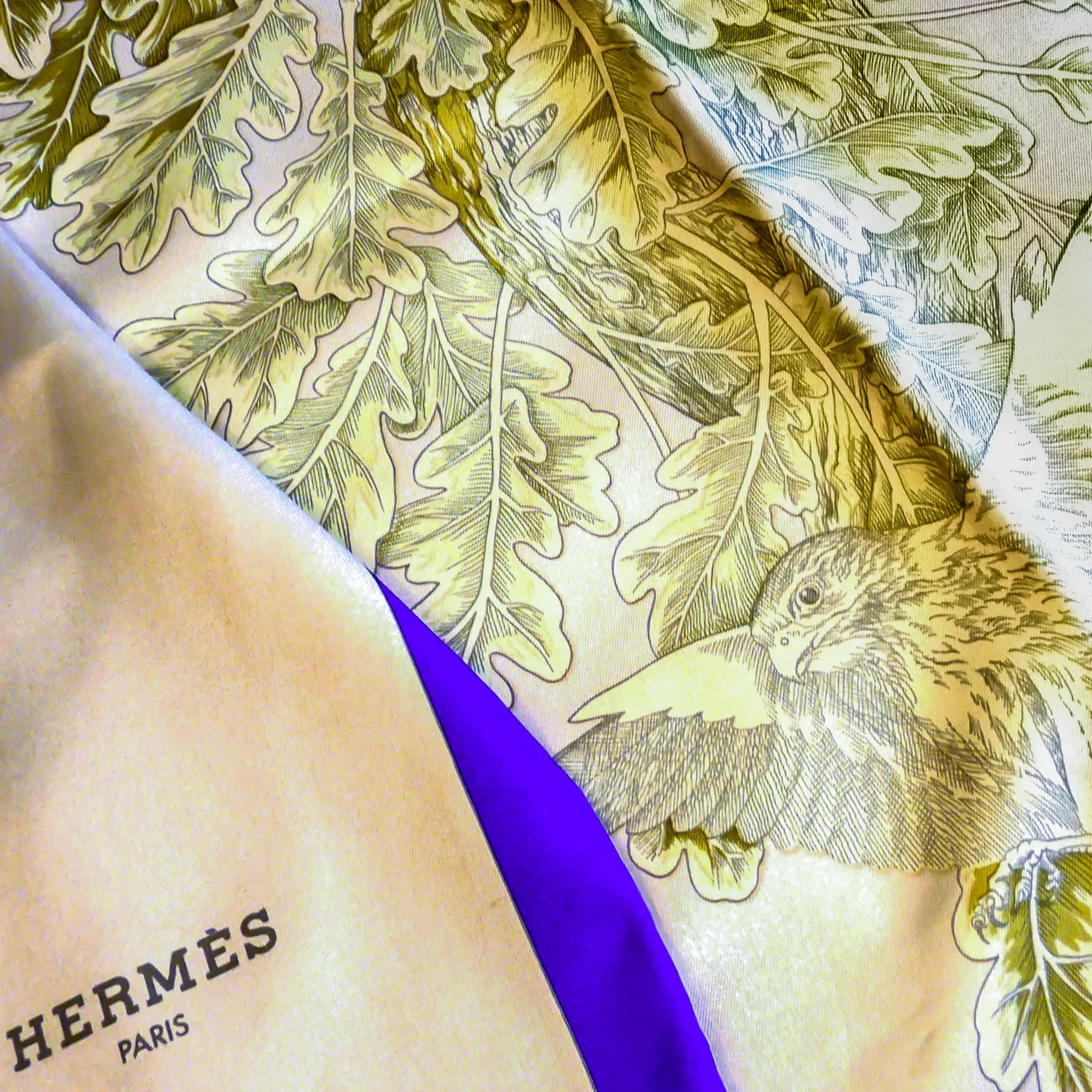 FEUILLES DE CHENE HERMES REVERSIBLE SILK SHAWL VERY RARE