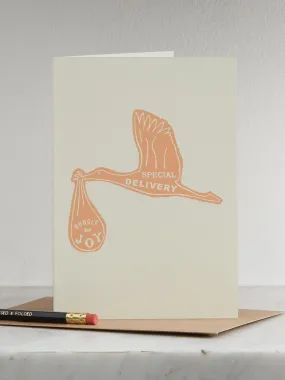 Special Delivery Card